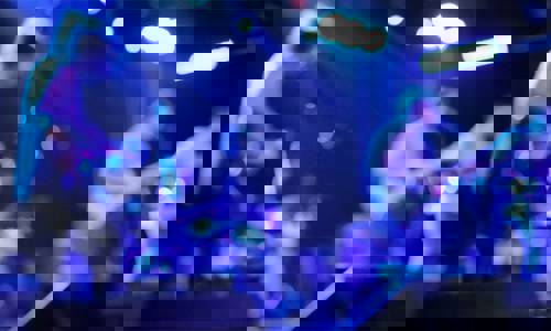 Announcing the ACME band live performance at Burger King on Main Street article thumbnail image